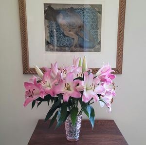 Meet your Posher, Patricia